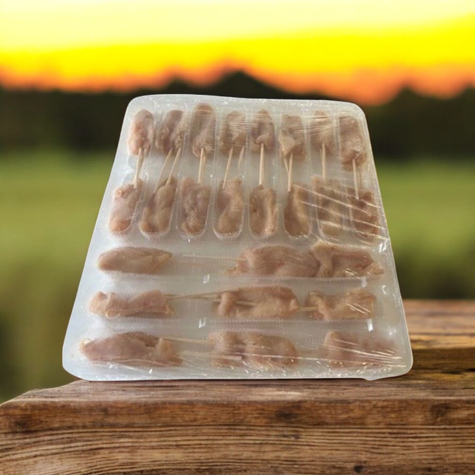 Appetizer- Chicken Thai Satay Appetizer – 5 Trays of 20 Count (Frozen)- Sysco Imperial