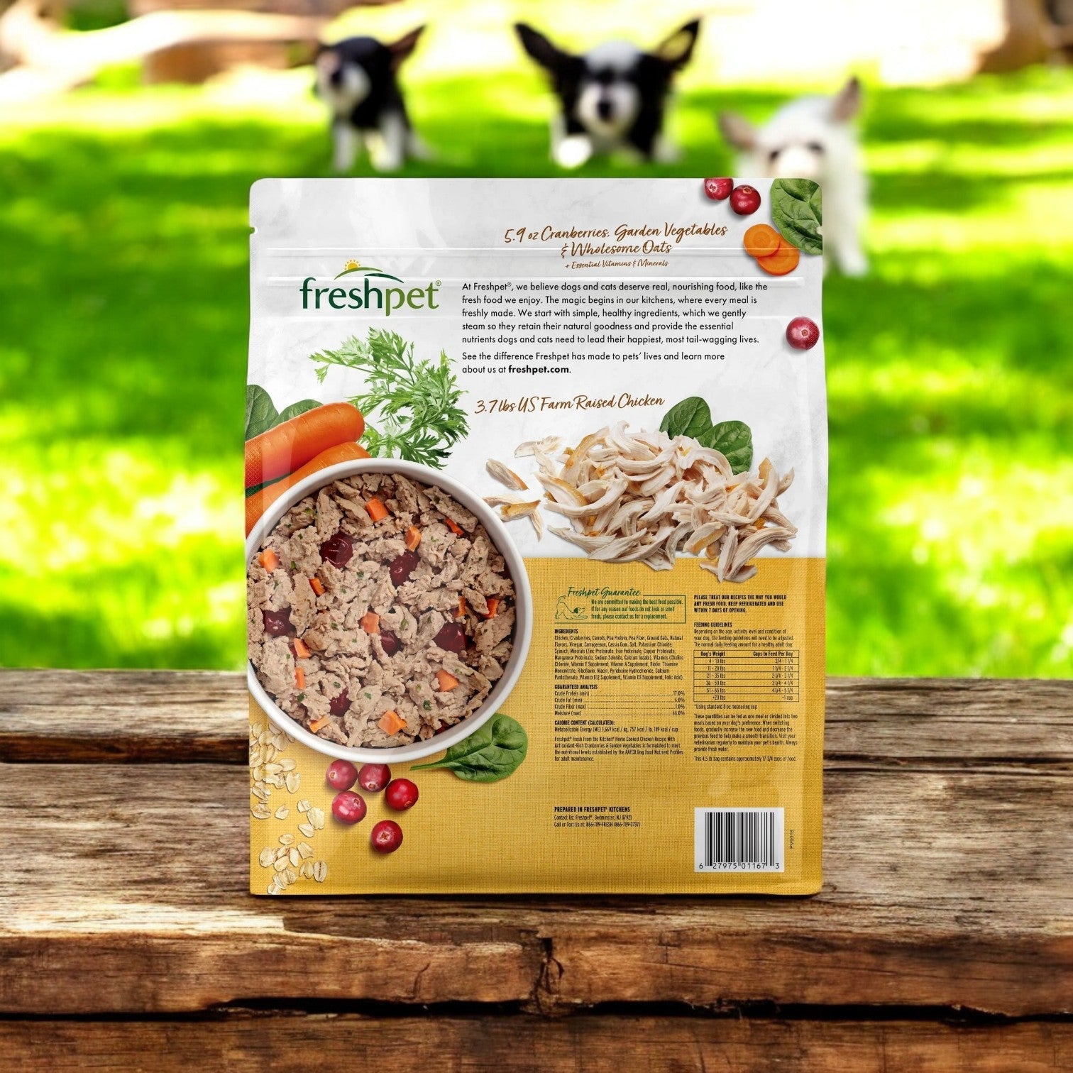 A bag of Freshpet Fresh From The Kitchen, Chicken, Fresh Dog Food for Healthy Digestion and Happy Dogs, 4.5 lb sits on a wooden table outdoors with two blurred dogs in the background.