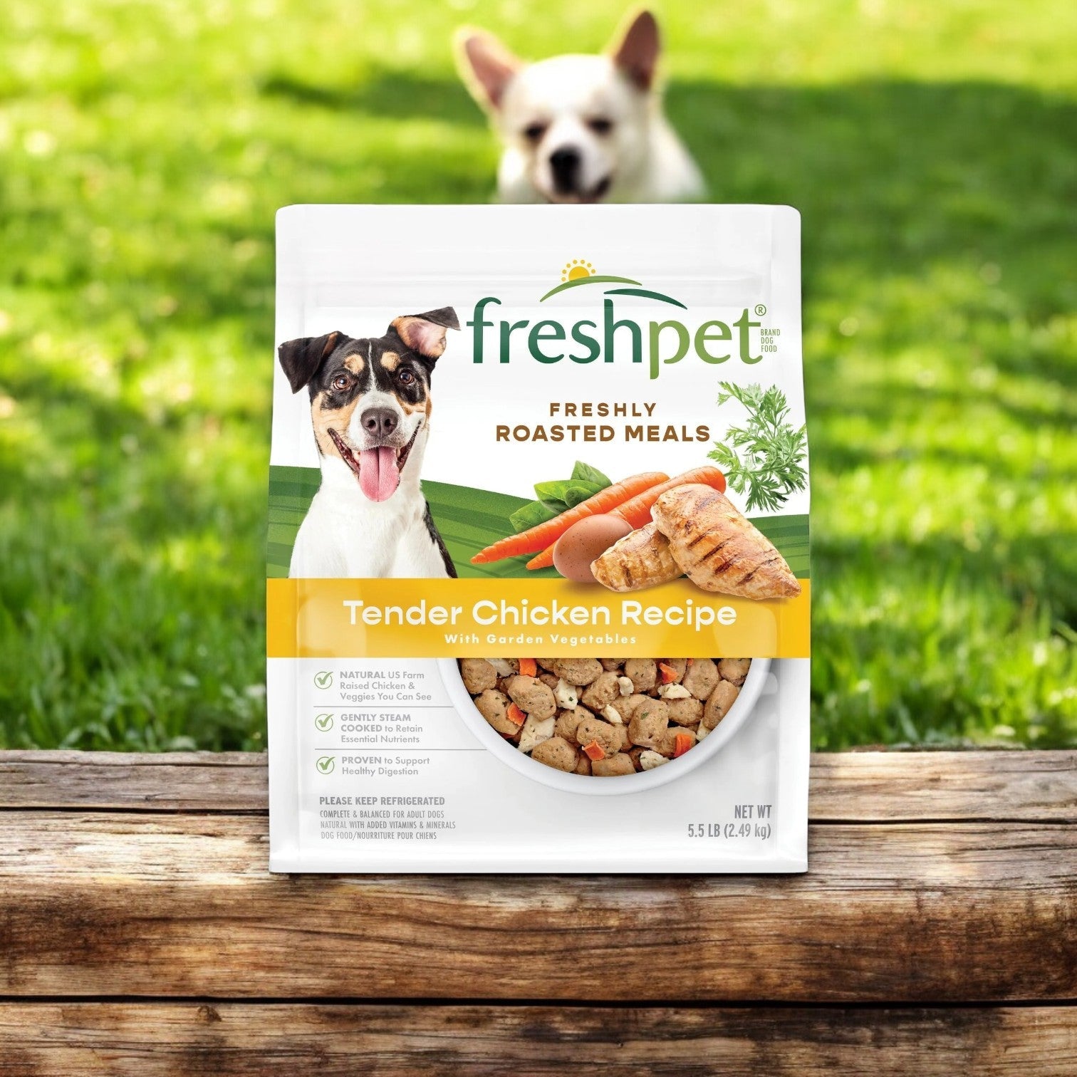 On a wooden ledge sits a bag of Freshpet Select Chicken and Veggie Recipe Roasted Meals Dog Food (5.5 lb, 3 Bags). In the grassy background, an eager dog blurs into motion.