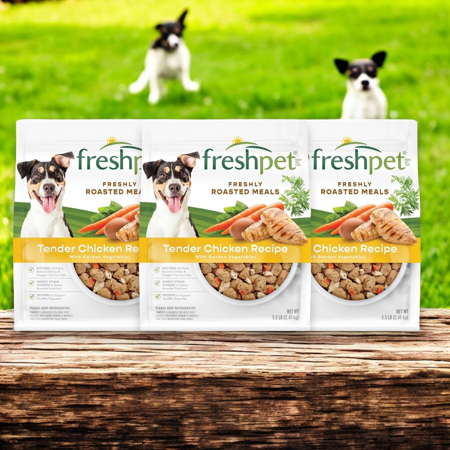 Three Freshpet Select Chicken and Veggie Recipe Roasted Meals, 5.5 lb each, sit on a wooden surface while two happy dogs play on the grass. This delicious dish is ideal for adult dogs seeking flavorful bites.
