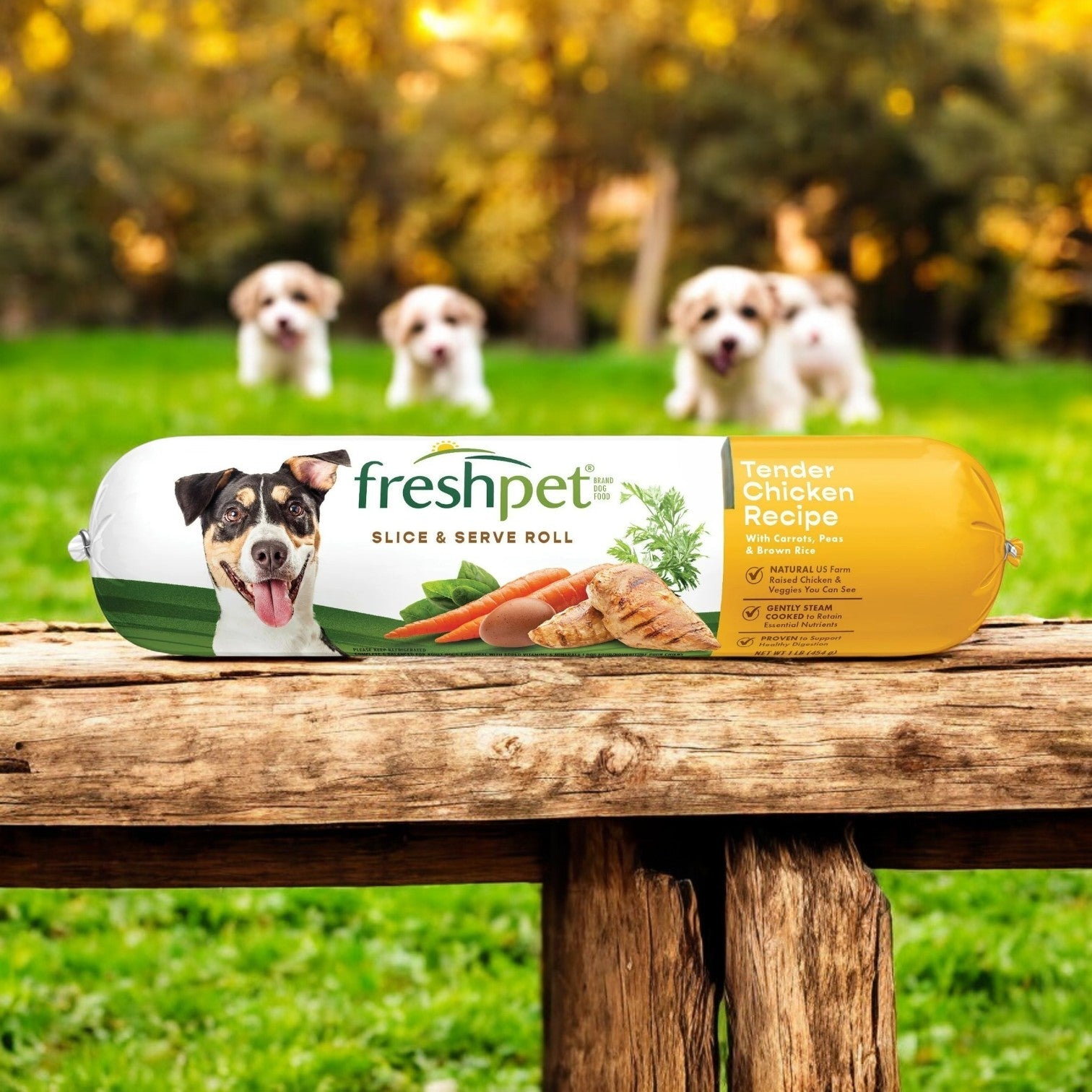 On a wooden surface lies Freshpet Healthy & Natural Dog Food, Fresh Chicken Roll, while three playful puppies frolic on the grass, eager to taste this special grain-free food.