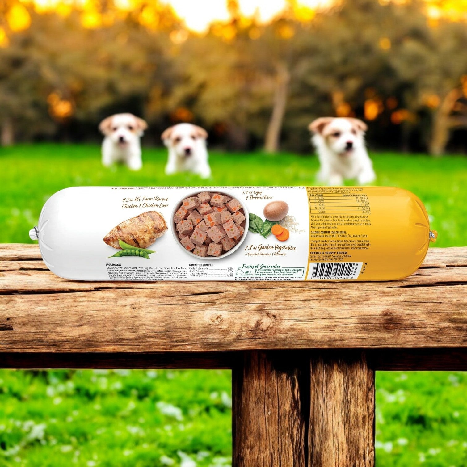A roll of Freshpet Healthy & Natural Dog Food, Fresh Chicken Roll, 1lb sits on a wooden fence with three curious dogs in a grassy field.