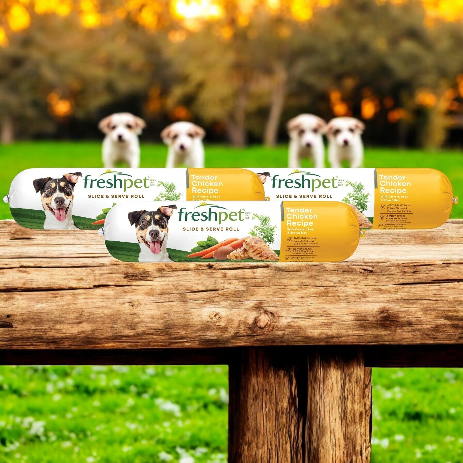 Three tubes of Freshpet Healthy & Natural Dog Food, Fresh Chicken Roll (3 lbs), rest on a wooden table with a blurred grassy field and three joyful dogs in the background, ensuring your furry friends receive only the best.