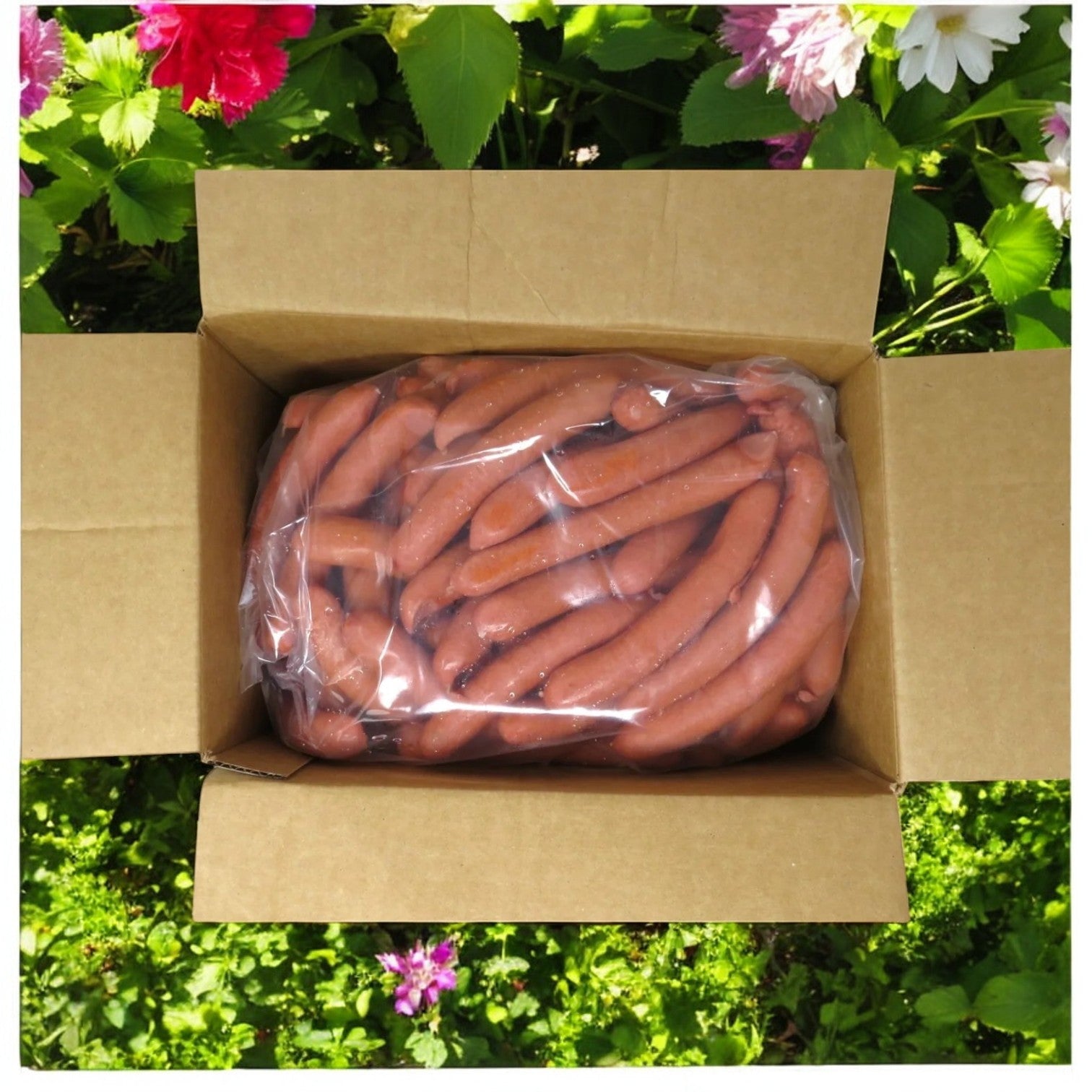 An open box of Vienna Beef, All-Beef 4:1 Hot Dog, 7" Cooked, sits outdoors with pink and white flowers nearby, enhancing the ambiance with a hint of smoked flavor.
