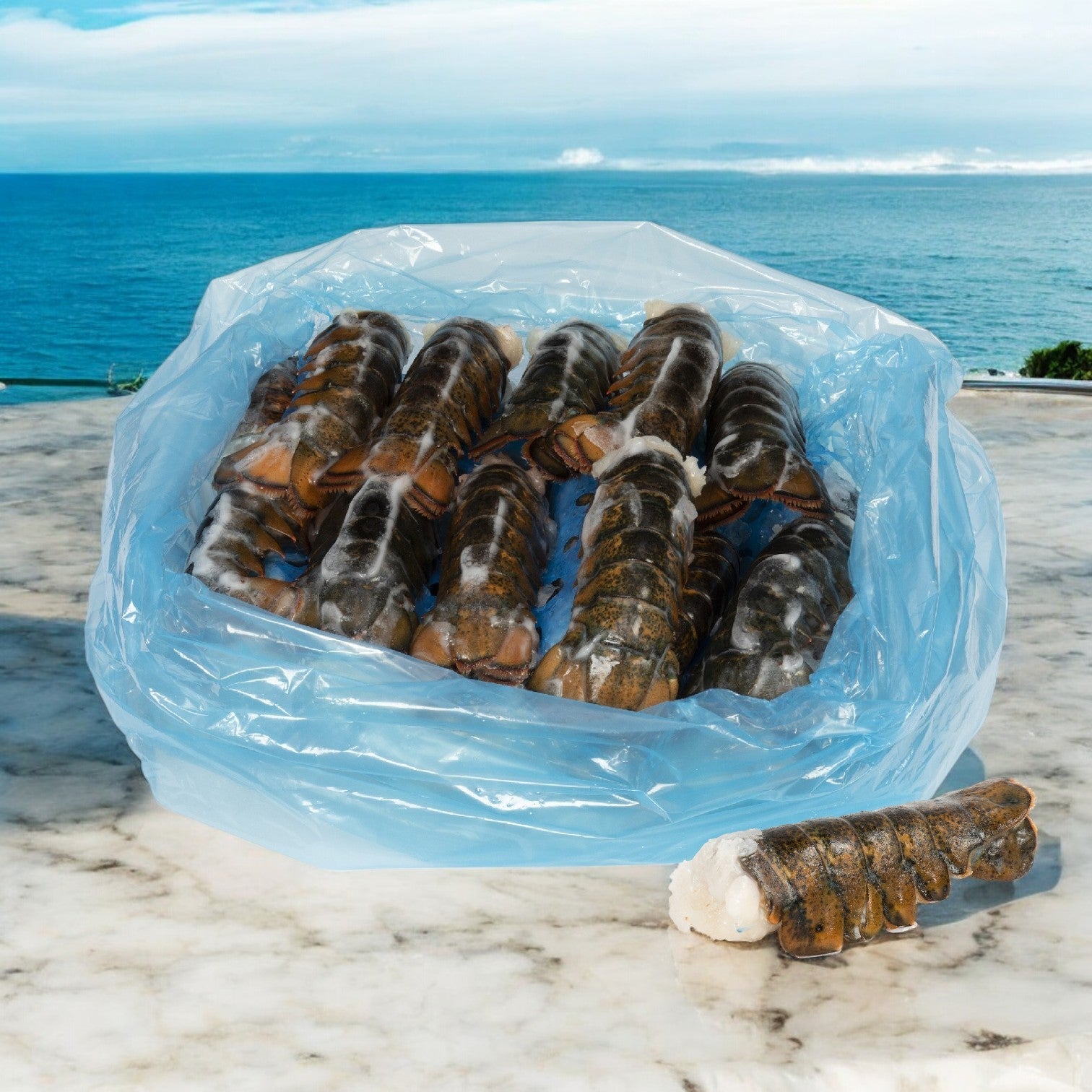 Several Atlantic Premium Lobster Tail North Atlantic Premium 5-6 Ounce, packaged in a blue plastic bag and set on a marble surface, are displayed against an ocean view backdrop, highlighting the exquisite seafood catch.