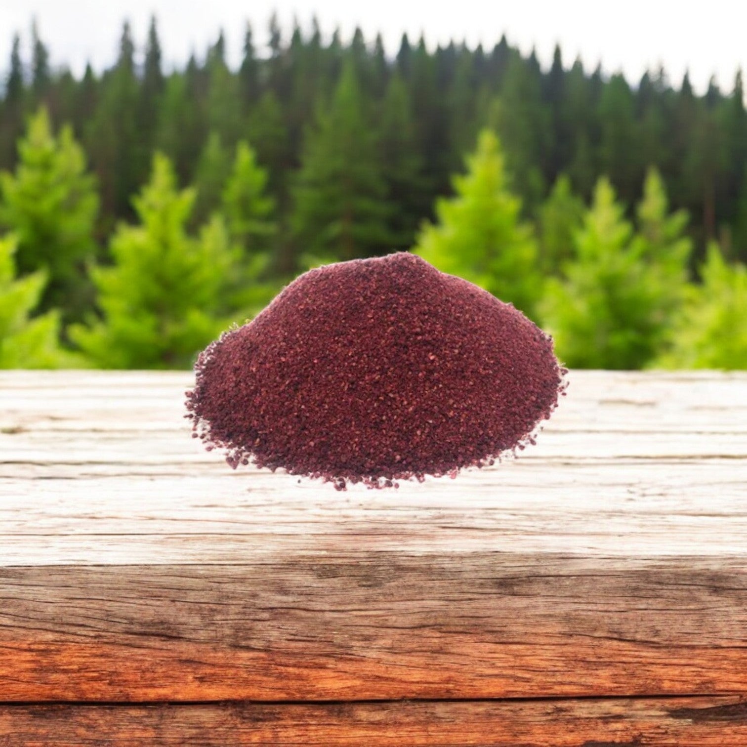 Sumac (Sahtein) 16 oz