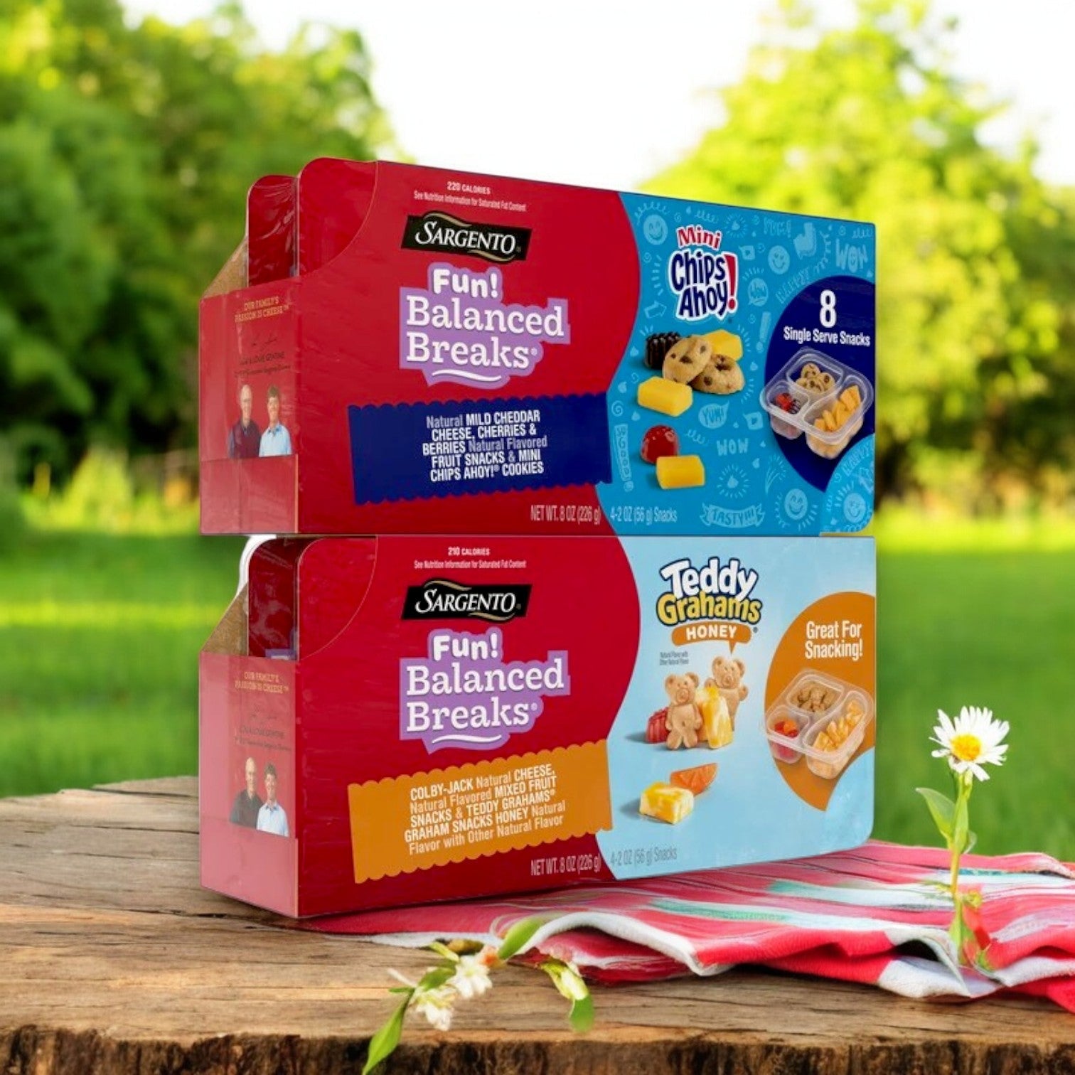 Sargento Fun! Balanced Breaks, Variety Pack | 2 oz, 8 ct