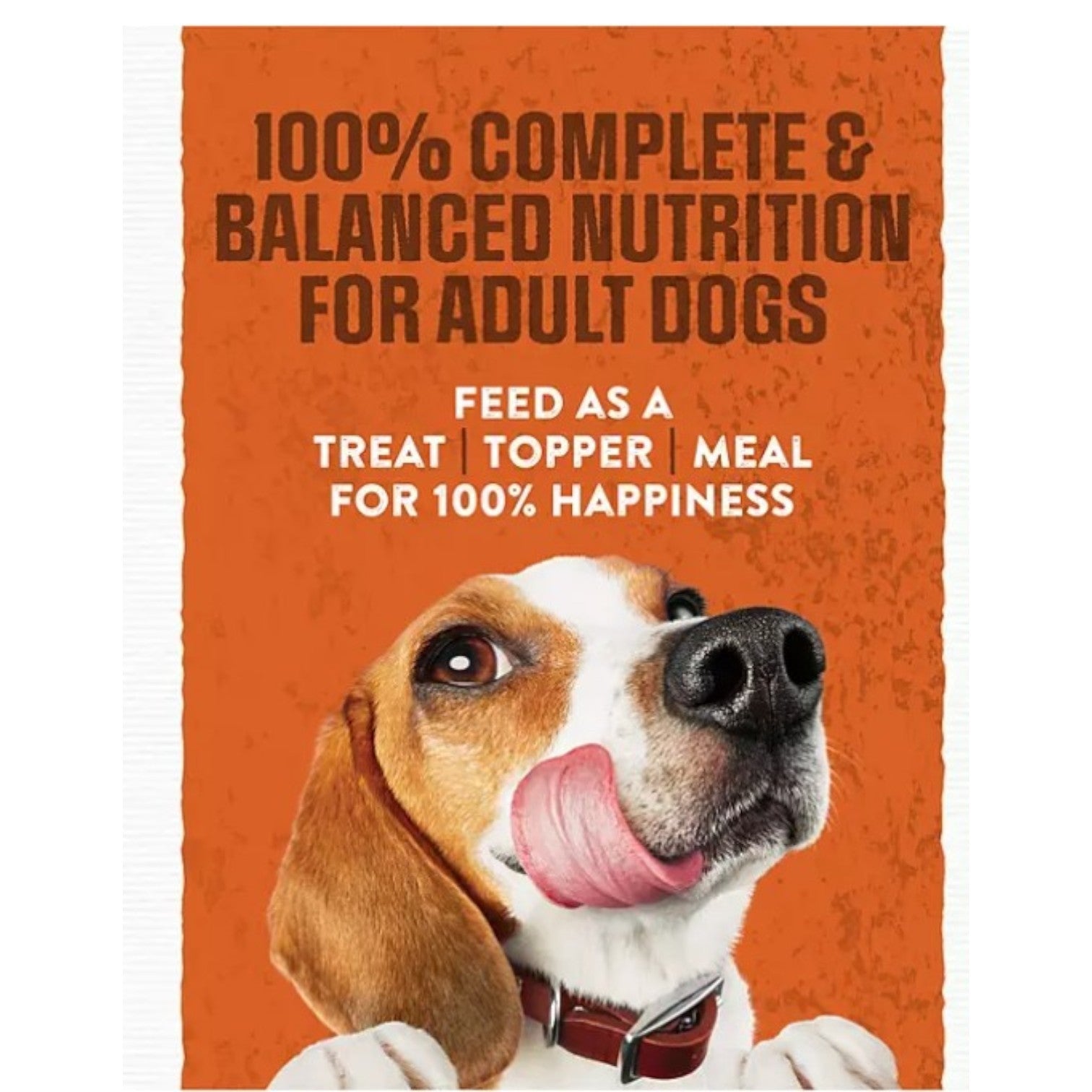 Purina Moist & Meaty Burger with Cheddar Cheese Flavor, Adult Dog Food, 60 ct- 1 Case