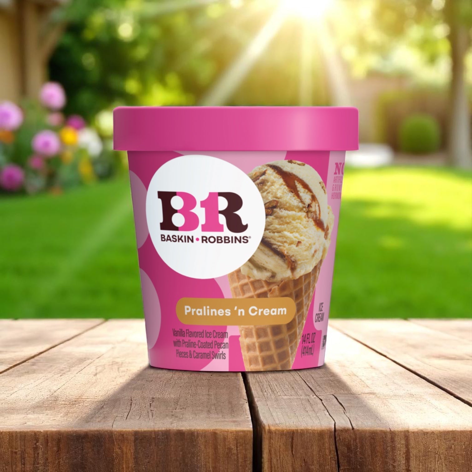 Baskin Robbins Ice Cream Pralines 'N Cream - 14 fl oz Tub 6 Count