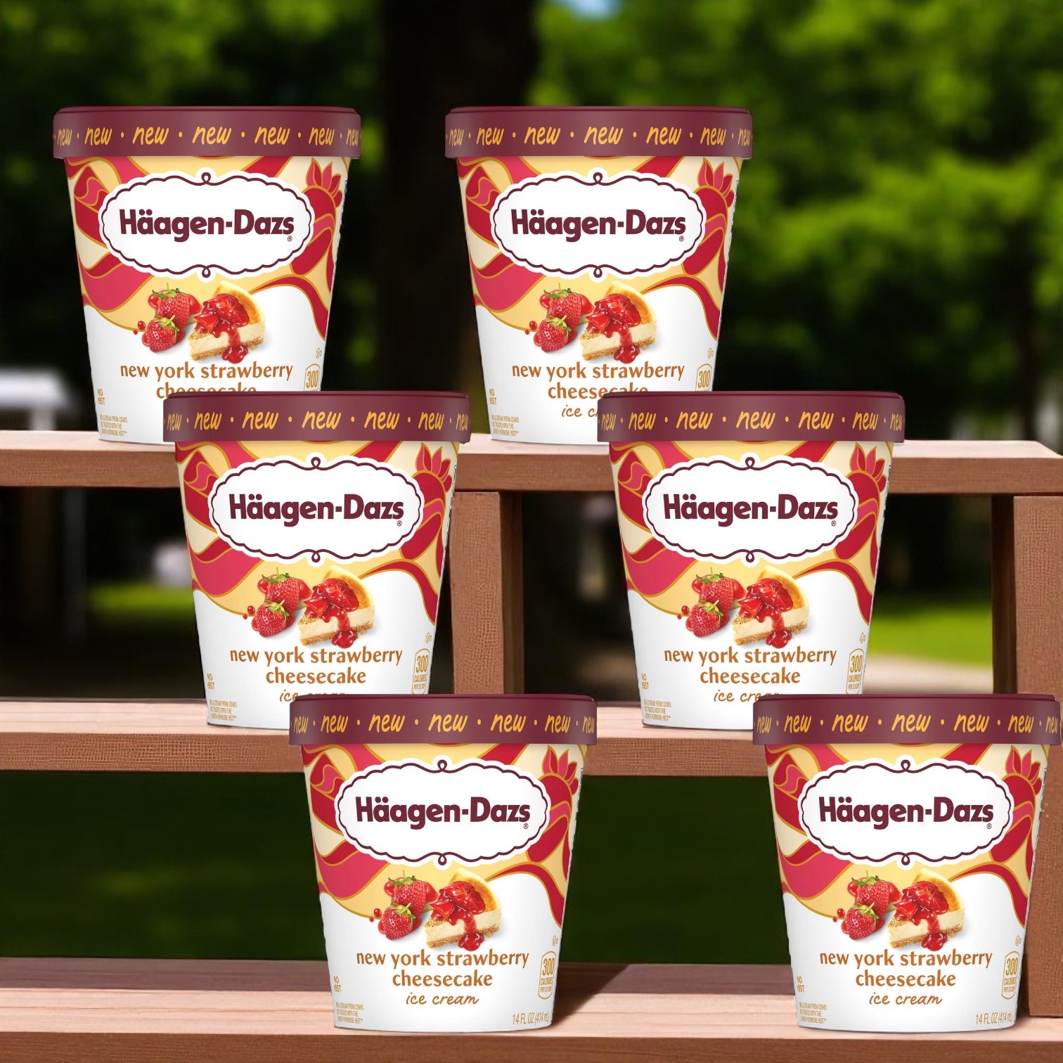 Haagen-Dazs New York Strawberry Cheesecake Ice Cream-14 FL Oz- 6 Pints