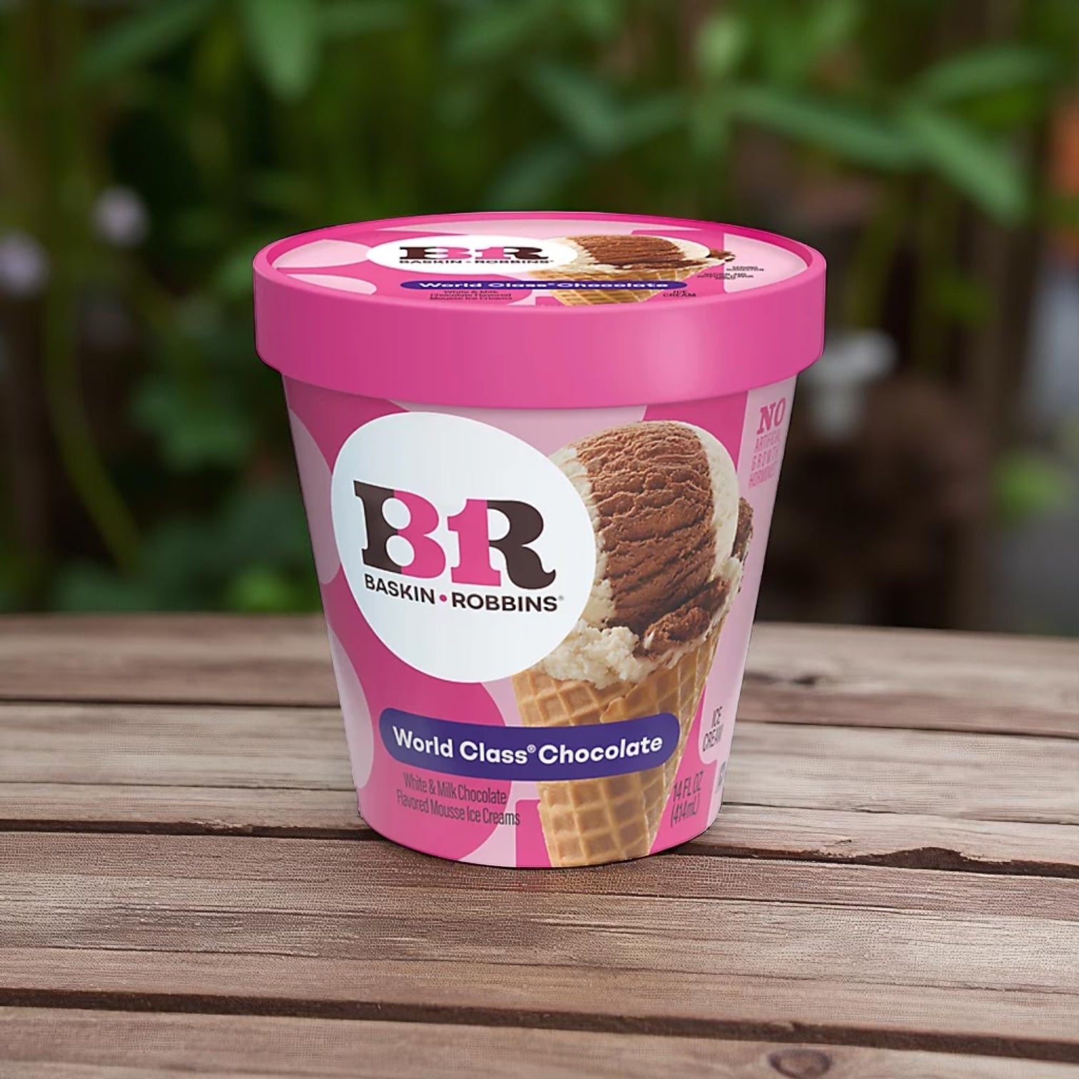Baskin Robbins Ice Cream World Class Chocolate (14 oz) 6 count