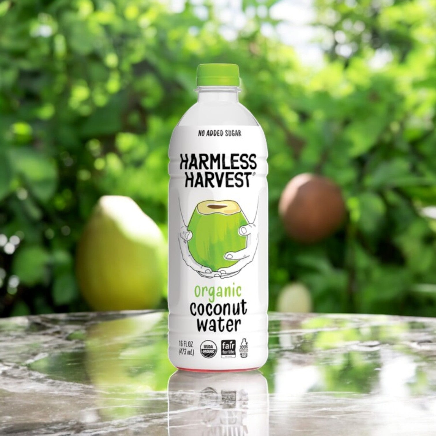 Harmless Harvest Organic Coconut Water – 16 fl oz. - 6 Count