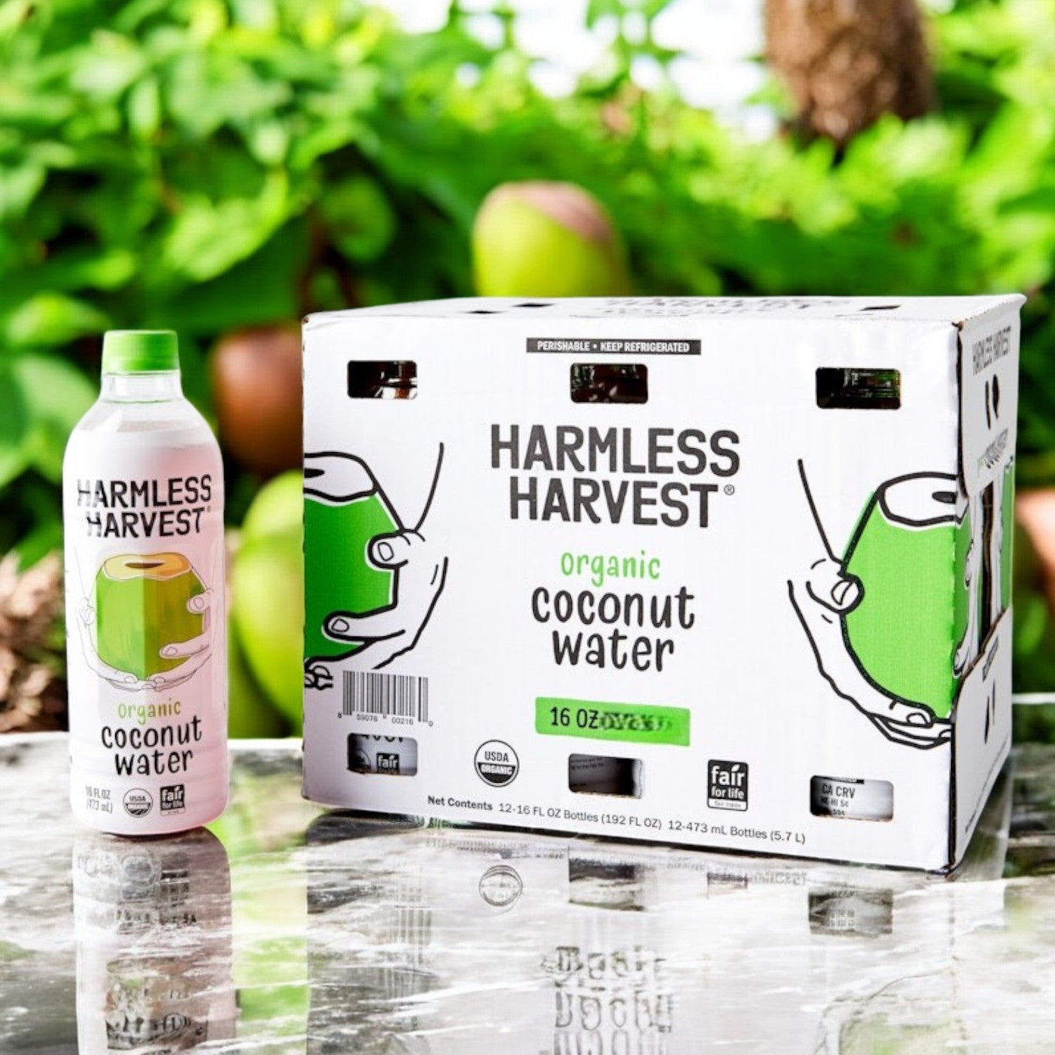 Harmless Harvest Organic Coconut Water – 16 fl oz. - 6 Count