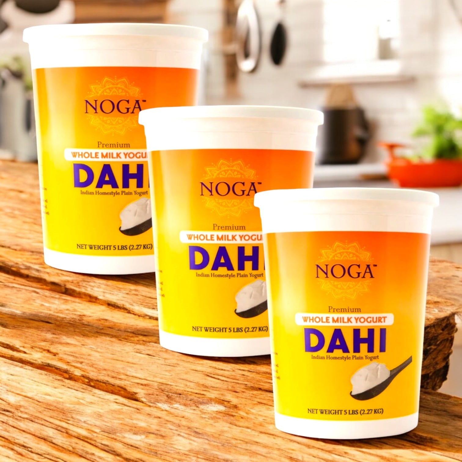 Noga Dahi Whole Milk India Yogurt Plain, 3 Count