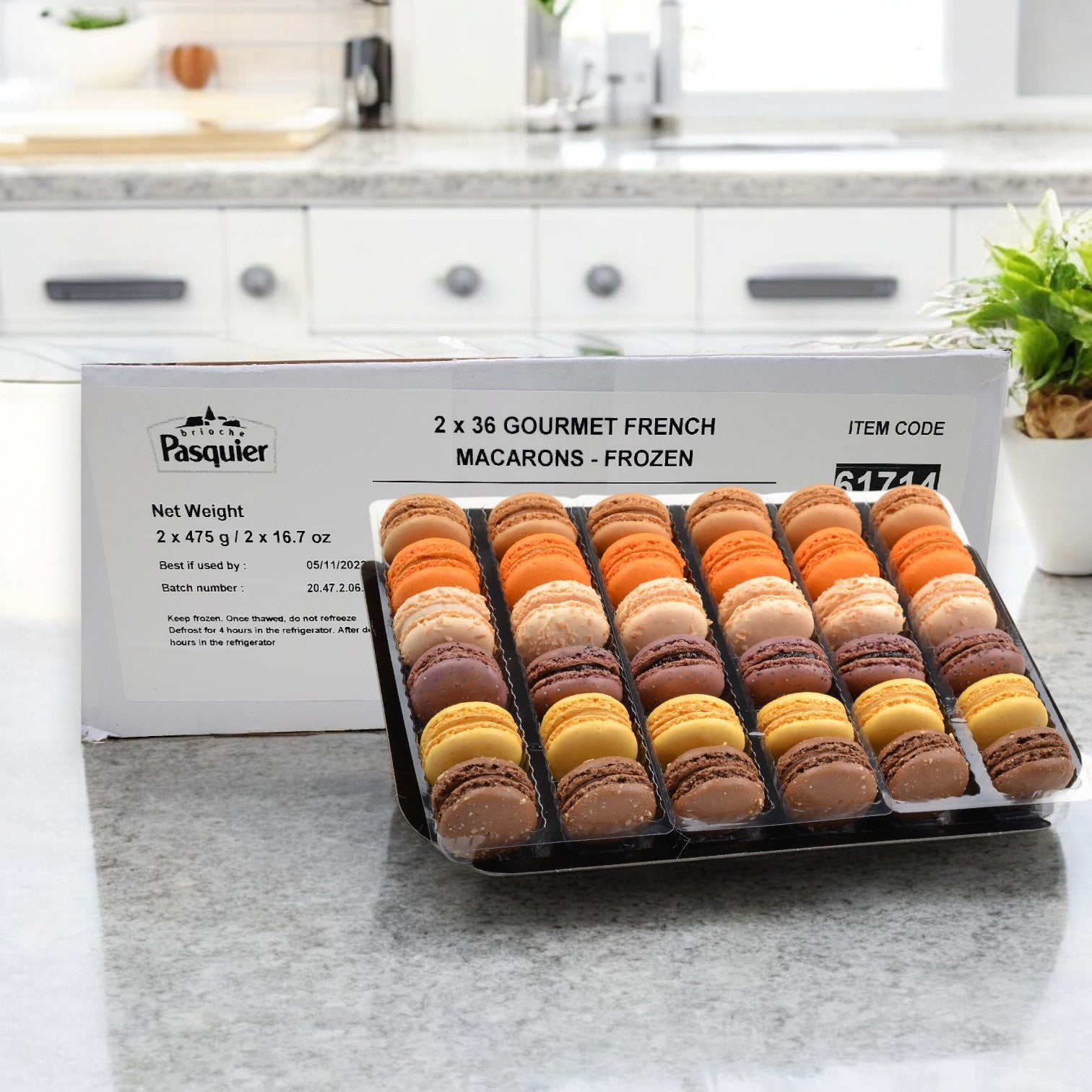 A tray of assorted frozen macarons in brown, orange, yellow, and pink hues graces the kitchen counter. In the background, packaging marked "Pasquier Cookie Macaron Assorted 1 Case, 144 Total Count" from Pasquier adds elegance to this delightful display.