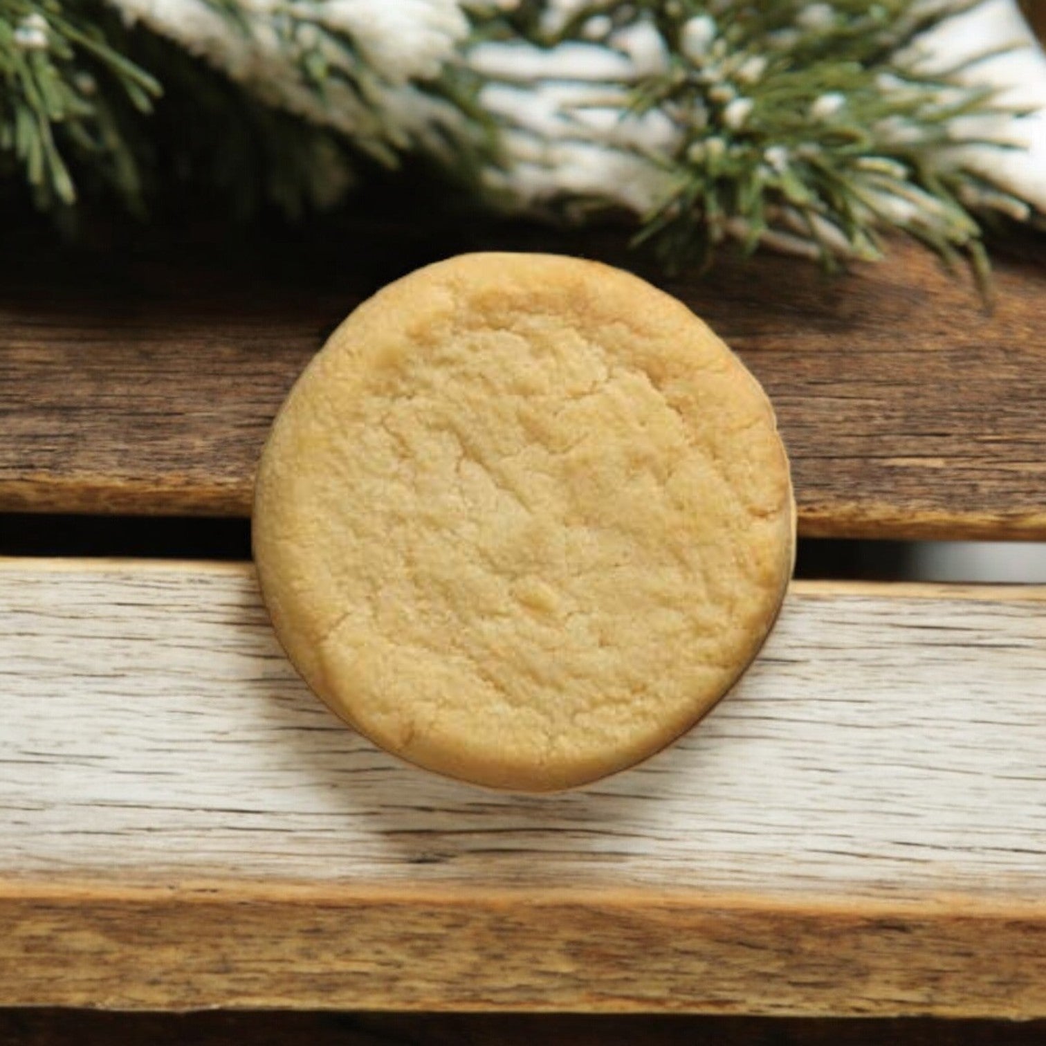 A round, buttery-flavored cookie from Otis Spunkmeyer's Butter Sugar Dough Cookie Case (160 Count) rests on a wooden surface with greenery in the background, evoking its classic taste.