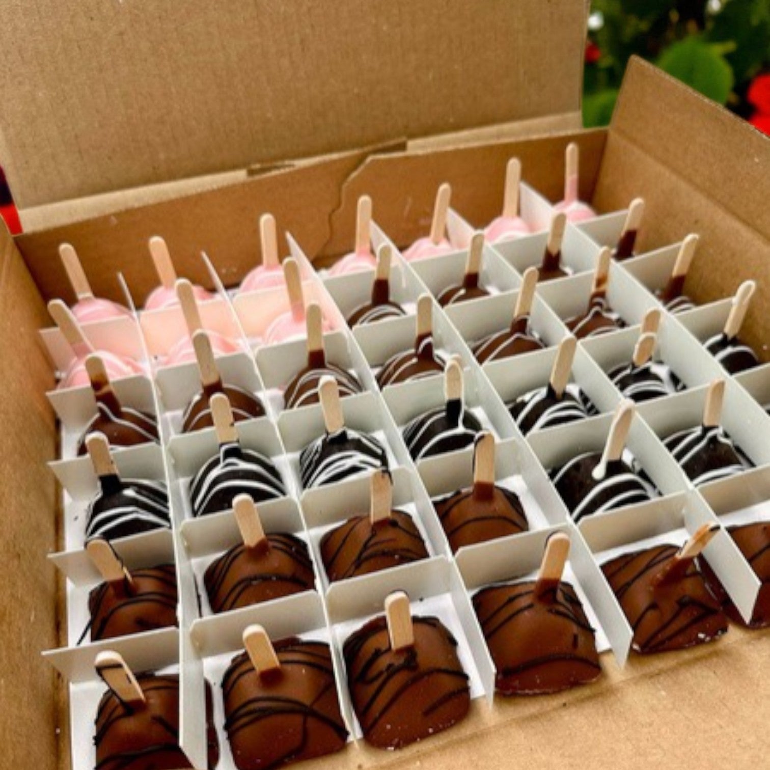 Van Lang Assorted Cheesecake Lollipops – 84 Count (2 Trays of 42, Frozen Desserts), features colorful treats on sticks, neatly arranged in rows with white dividers.