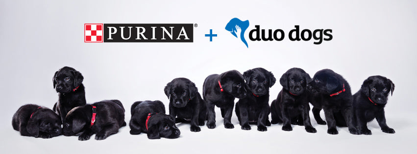 Purina
