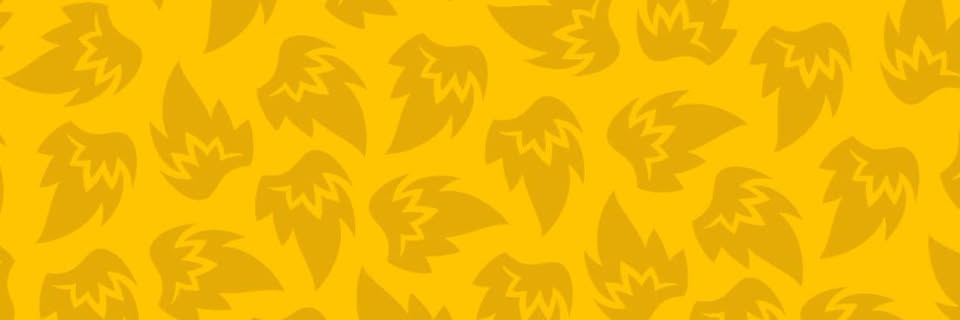 Buffalo Wild Wings