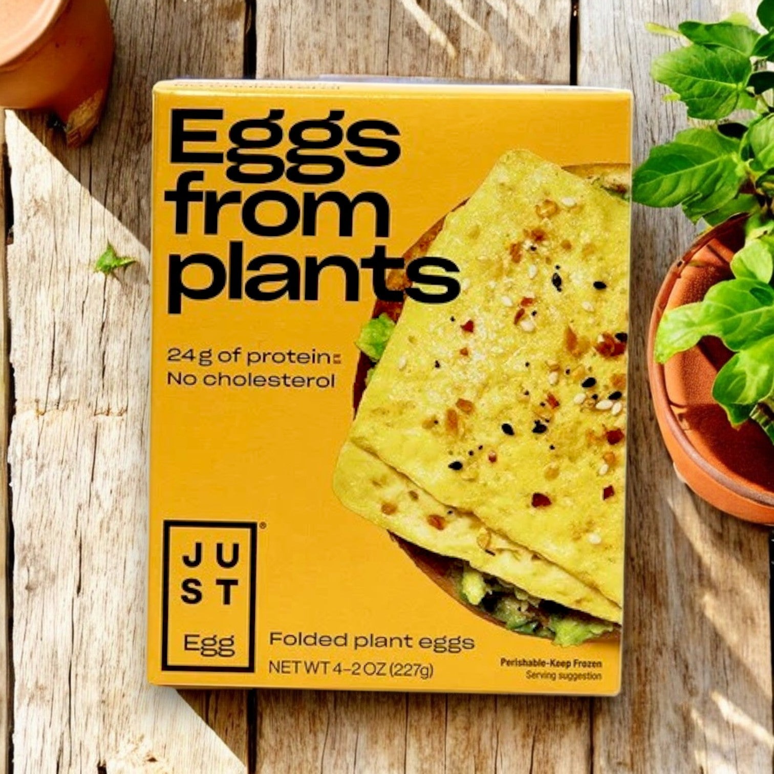 The Just Egg Folded, a plant-based egg by Just Egg, is displayed on wood next to a plant. Its packaging emphasizes mung bean protein and 24g of cholesterol-free protein, presenting it as an ideal alternative.