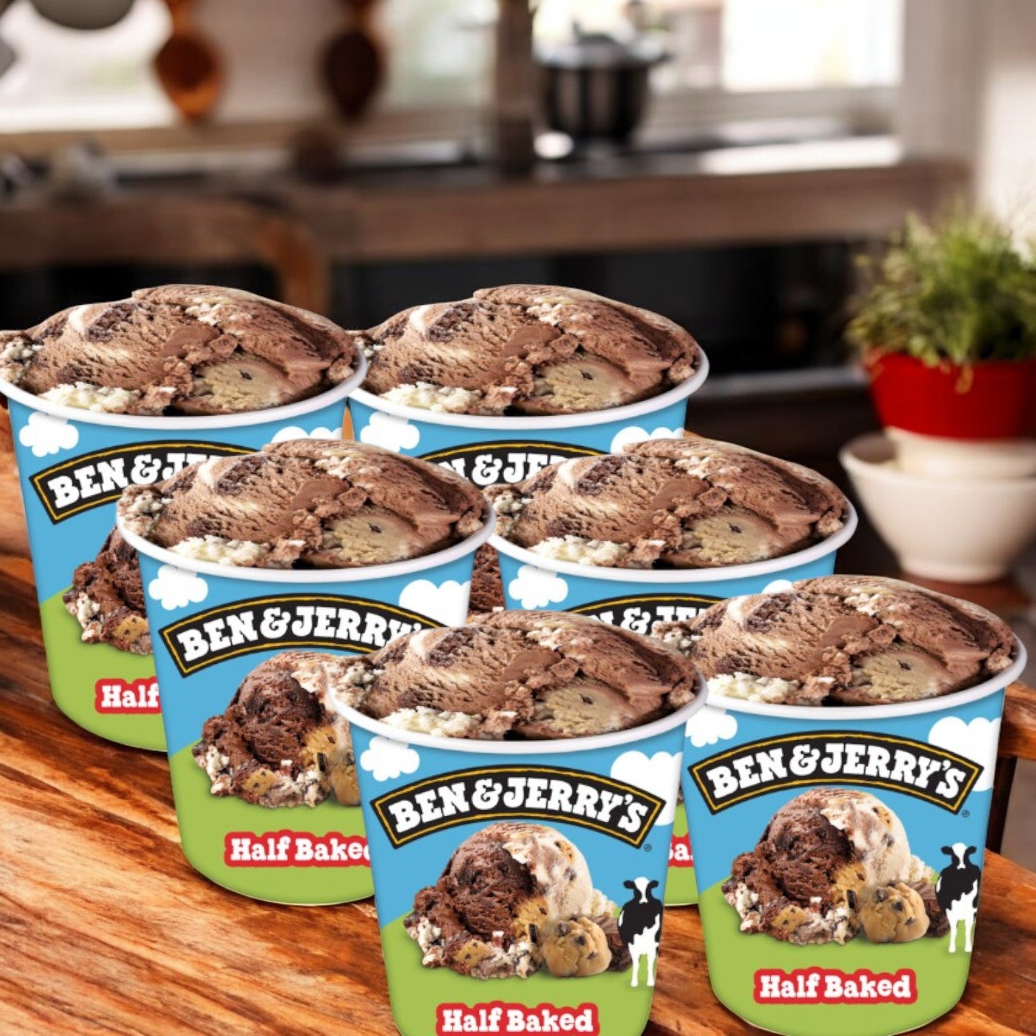 Ben & Jerry's Half Baked® Chocolate & Vanilla Ice Cream Pint- 16 FL Oz- 6 Cases