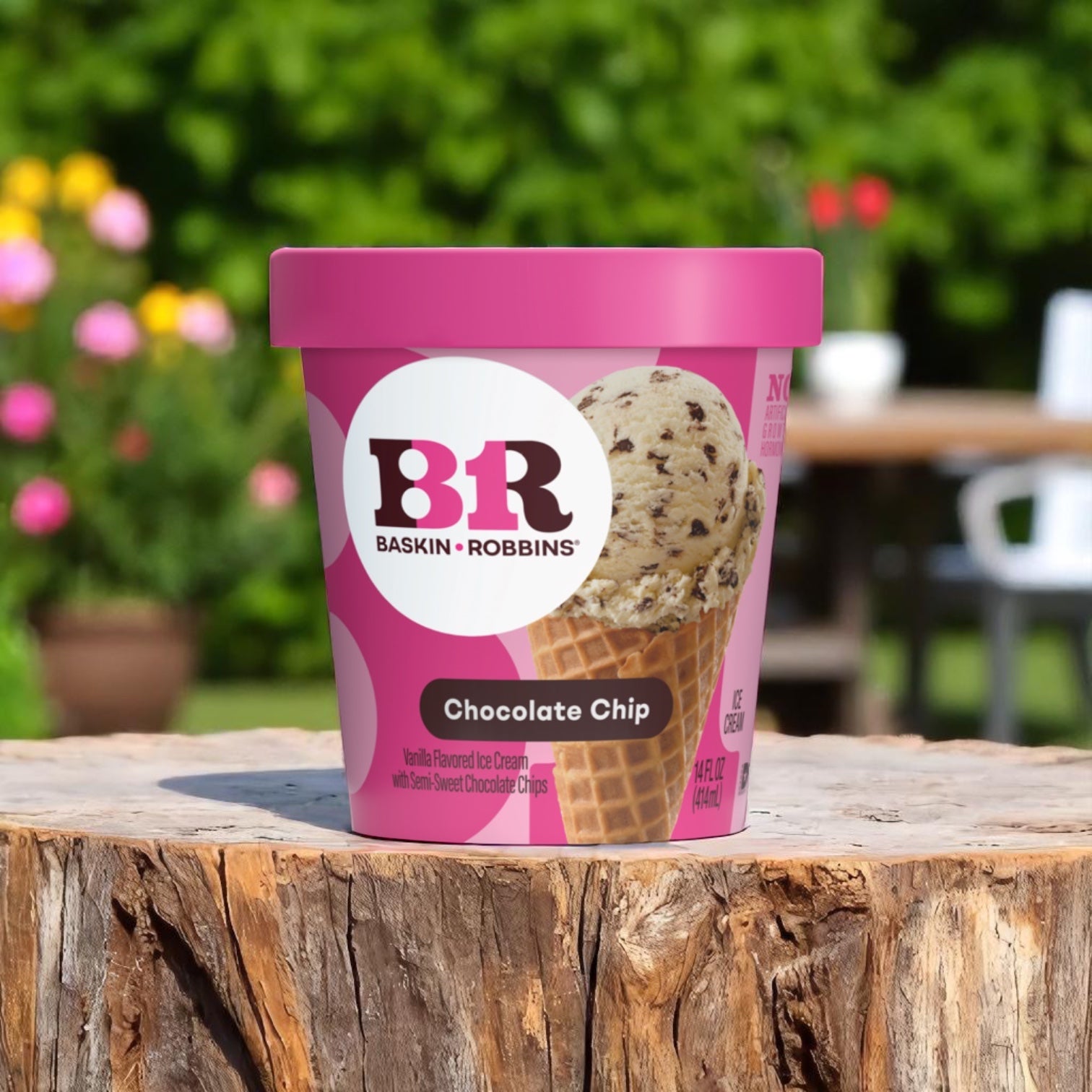 Baskin Robbins Ice Cream Chocolate Chip - 14 fl oz Tub 6 Count