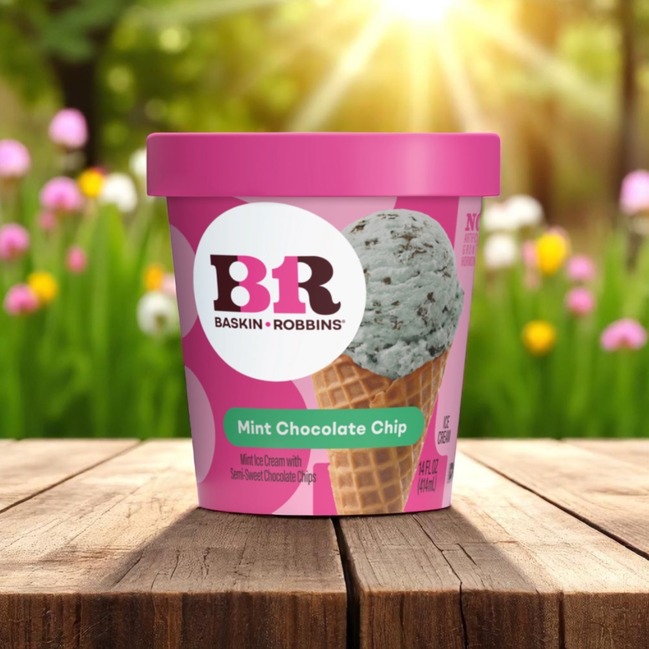Baskin Robbins Ice Cream Mint Chocolate Chip - 14 fl oz Tub 6 Count