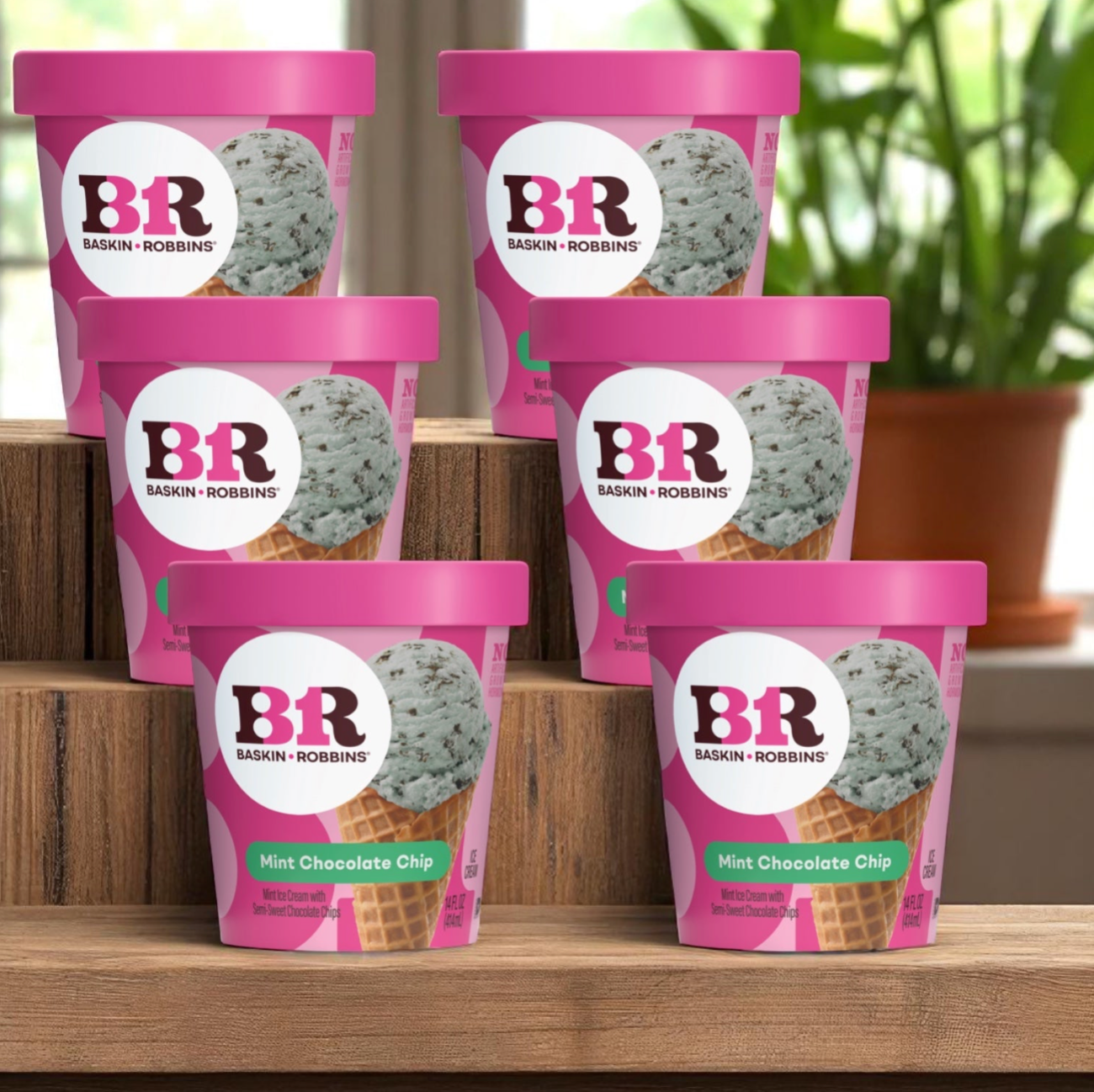 Baskin Robbins Ice Cream Mint Chocolate Chip - 14 fl oz Tub 6 Count