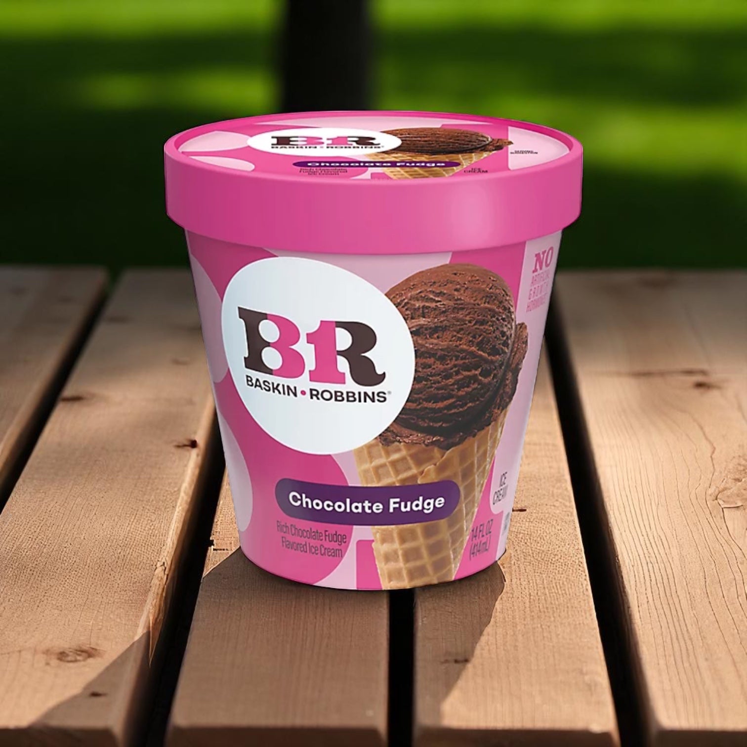 Baskin Robbins Ice Cream Chocolate Fudge - 14 fl oz Tub