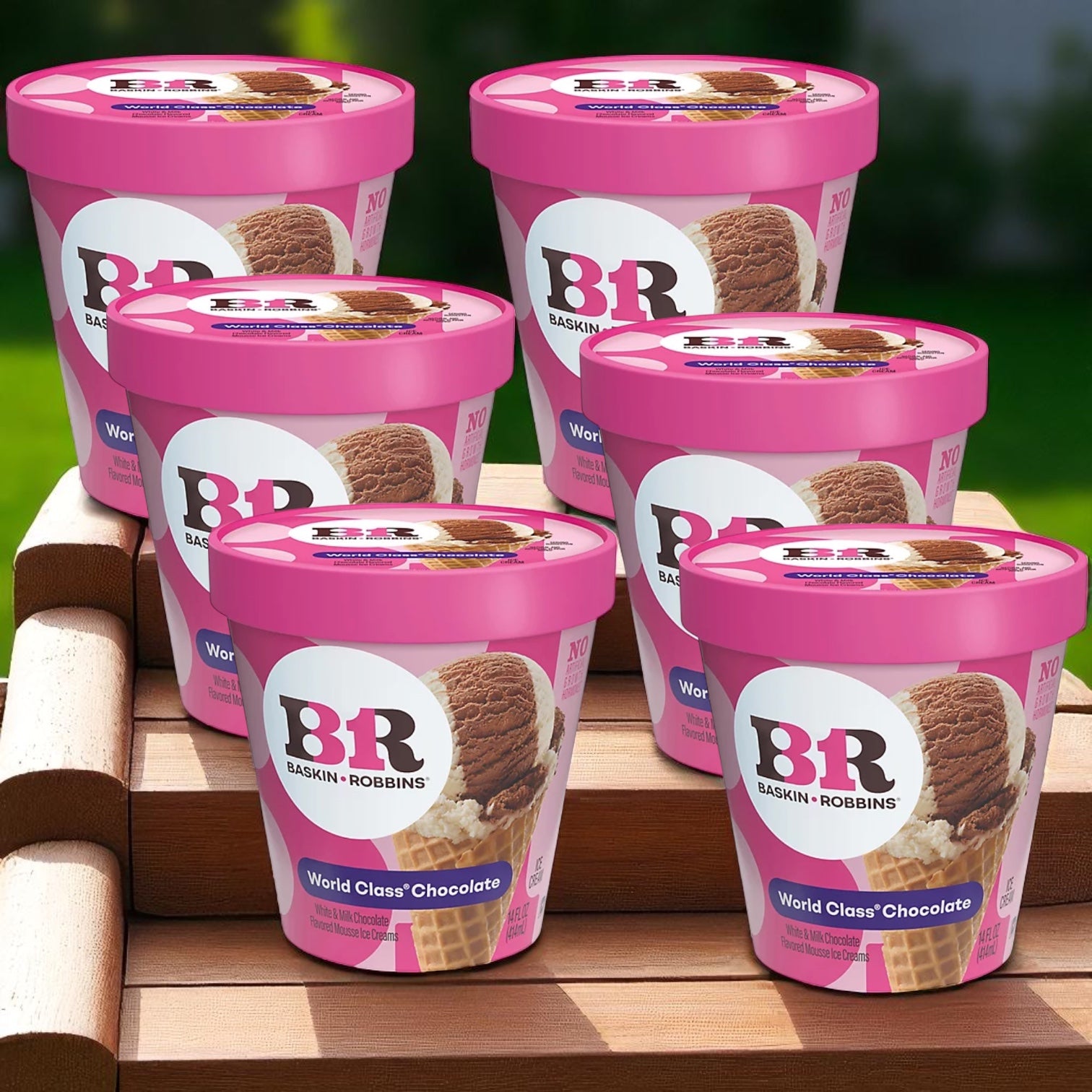 Baskin Robbins Ice Cream World Class Chocolate (14 oz) 6 count